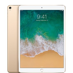 Apple iPad 5th Gen. 2017 32GB Gold