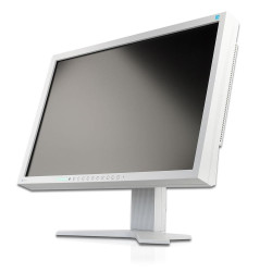 Używany monitor Eizo FlexScan S2202W 22 " 1680 x 1050 px TN