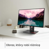 Monitory